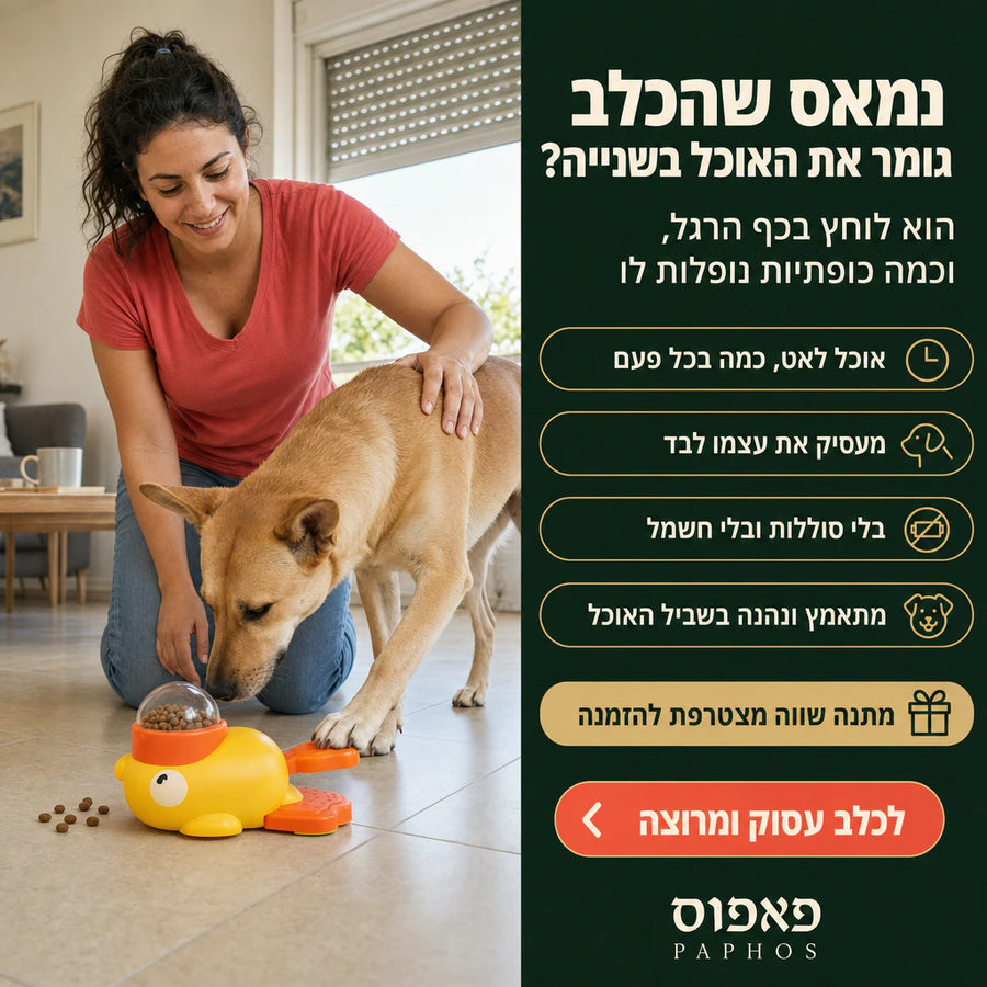 צעצוע לכלב שמשחרר חטיפים בלחיצה