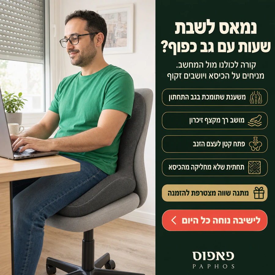 כרית ישיבה ארגונומית עם משענת גב
