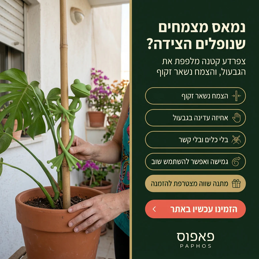 קליפסי צפרדע גמישים לתמיכה בצמחים