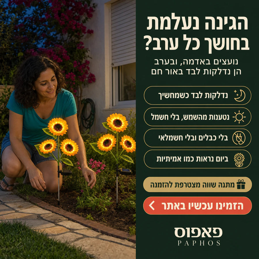 חמניות סולאריות מאירות לגינה